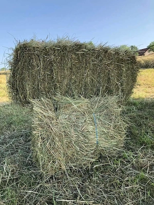 kleine Ballen Heu, HD Ballen Heu, Pferdeheu