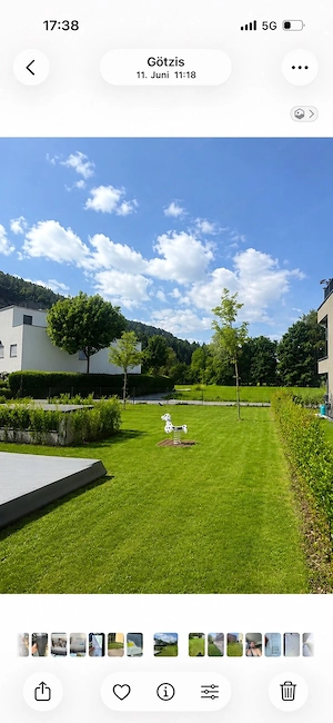 Gartengestalltung und Gartenpflege Bild 3