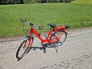 e bike retro style Bild 4