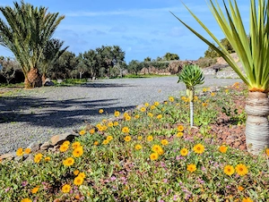 Ferienhaus Fuerteventura, Nähe La Pared Bild 8