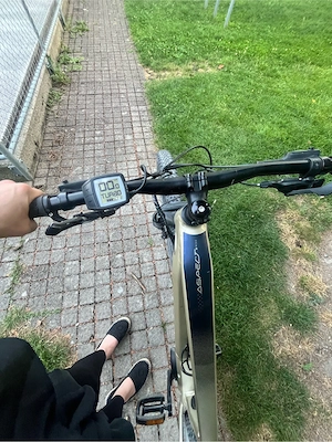 ebike  scott 750watt Bild 3