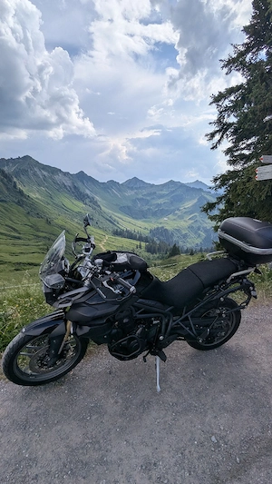 2011 Triumph Tiger 800 ABS (A08)