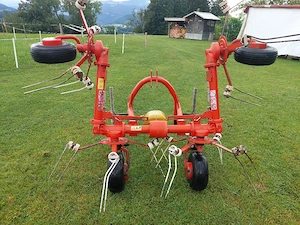 Sip Kreisler Bild 3