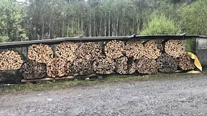 Trockenes Brennholz (Buche, oder Esche)