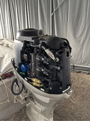 Honda Bf40 mit Hartmann 610 Bild 3