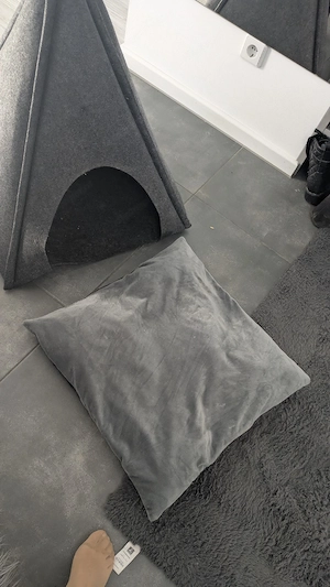 Tippizelt Hunde, Katzen Bild 4