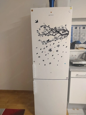 Kühlschrank Gorenje