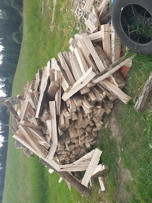 Brennholz Hartholz halbtrocken 