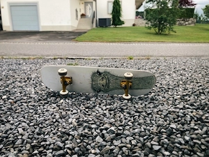 Firefly Skateboard   in gutem Zustand   Cooles Straußen-Design & goldene Achse Bild 3