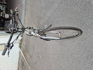 E- Bike Diamant Bild 4