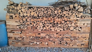Brennholz zu verschenken - Selbstabholung Bild 2