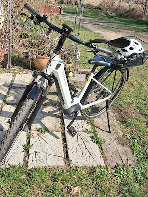 Kalkhoff Endeavour 5. B Bild 6