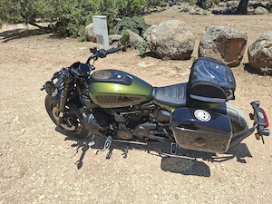 Harley Sportster 1250 S Bild 2