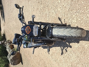 Harley Sportster 1250 S Bild 3