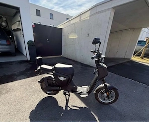E.F.O. EB250P Elektro Roller   E-Scooter 2-Sitzer   Top Zustand