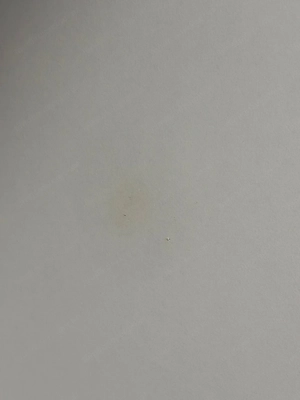 Großer Schwebetürenschrank Bild 6