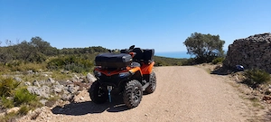 Quad CF Moto 450 L Bild 3