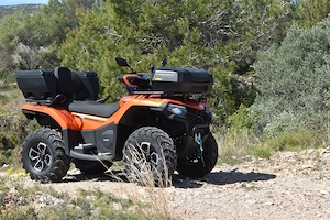 Quad CF Moto 450 L Bild 2