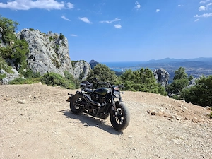 Harley Sportster 1250 S Bild 8