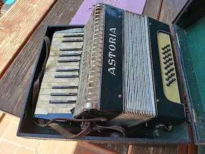 Steirerorgel für Kinder Harmonika