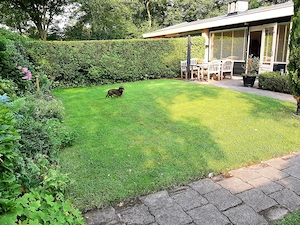 Ferienhaus NL. Zeeland, Strandnah, 4P Feha Bungalow zu mieten Bild 9