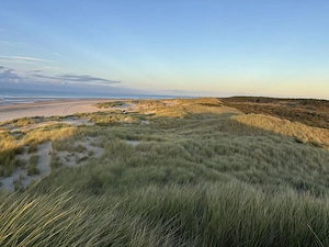 Ferienhaus NL. Zeeland, Strandnah, 4P Feha Bungalow zu mieten Bild 6