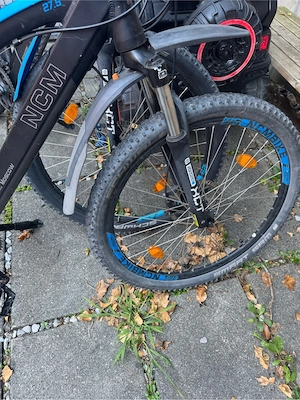 e bike gut erhalten Bild 4