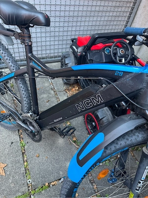 e bike gut erhalten Bild 2