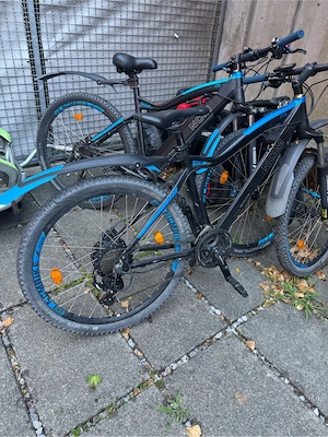 e bike gut erhalten Bild 5