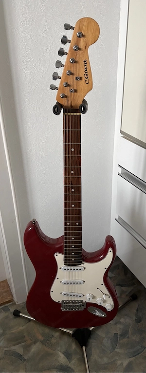 e gitarre C.giant  Bild 2