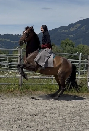 Beritt & Unterricht  in der Altklassischen Reitkunst