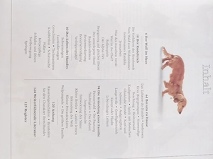 Hunde kennen und verstehen Buch Bild 3