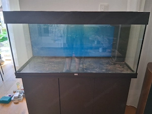 Aquarium Juwel 180l Schwarz Bild 5
