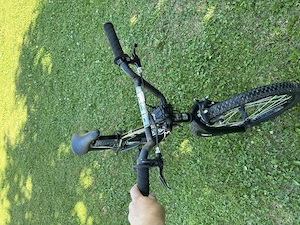 BMX Feltbike 20 