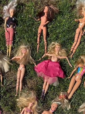 Barbie Puppen 22 Stück