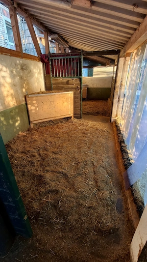 Paddockbox ab sofort zu vergeben Bild 3