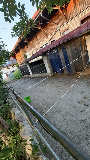 Paddockbox ab sofort zu vergeben Bild 5