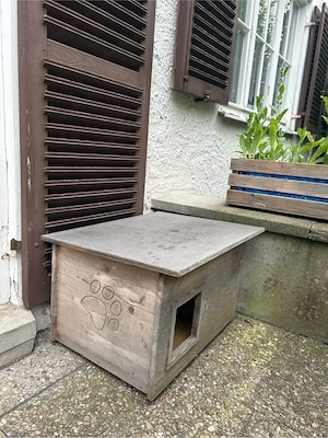Katzenhaus isoliert Bild 2