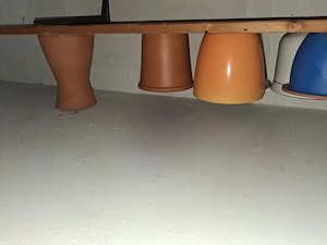 Verschiedene Blumentöpfe zu verschenken  Bild 3