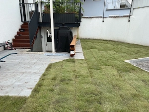 Baumfällung Baumrückschnitt Rückschnitt heckenschnitt Gartenarbeit fällung  Bild 4
