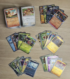 Pokemon Karten
