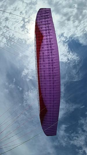 Gin Evora 2024, Check neu Bild 2