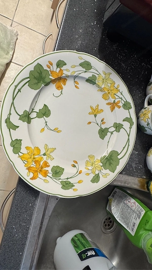 Frühstücksservice Porzellan Villeroy & Boch Geranium Bild 4