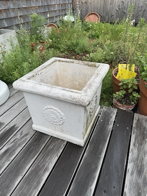 Blumentopf  Bild 2