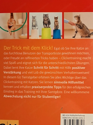 Es war einmal ein großer Bär !! Bild 7