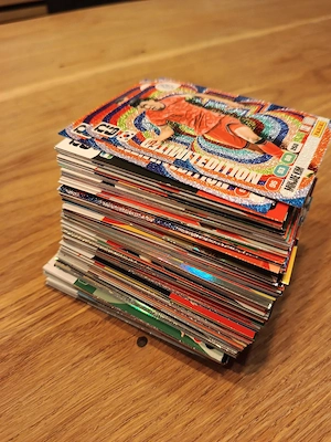 Panini Karten WM 2006