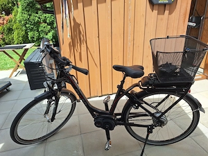 Damen E - Bike Marke Flyer