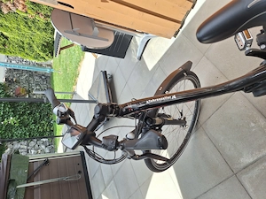 Damen E - Bike Marke Flyer Bild 2