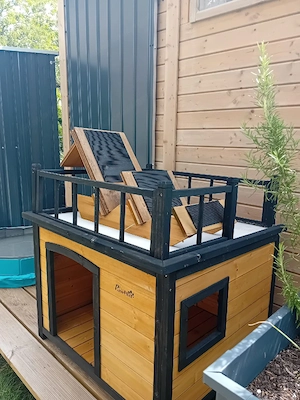 Hundehütte Bild 4