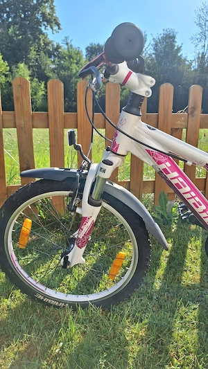 Kinderfahrrad 20 Zoll Bild 3